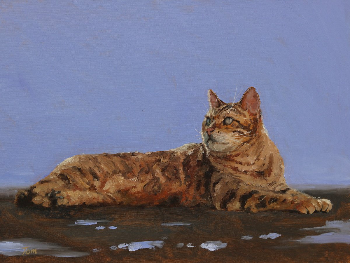 Animal Oil Painting By Tom Clay, 16 X 12", Bengal Cat, Original Artwork