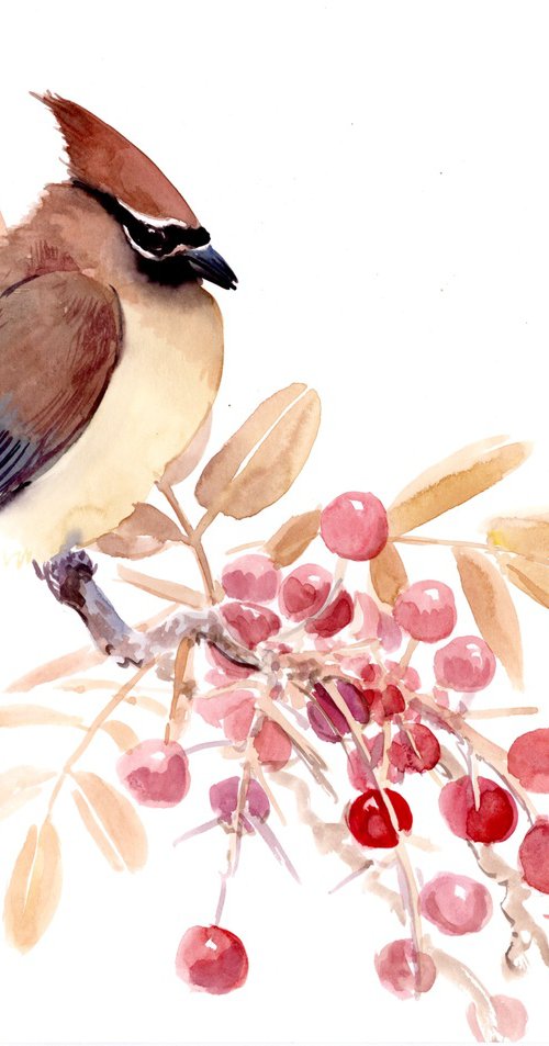 Waxwing Bird and Berries by Suren Nersisyan