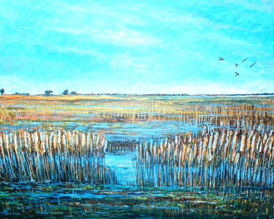 Warsash Reedbeds
