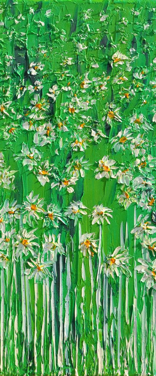 Daisies In The Grass 4 by Daniel Urbaník