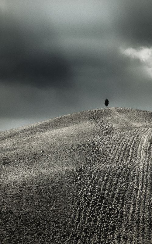 Autumn lights in Tuscany - Landscape in Italy by Peter Zelei