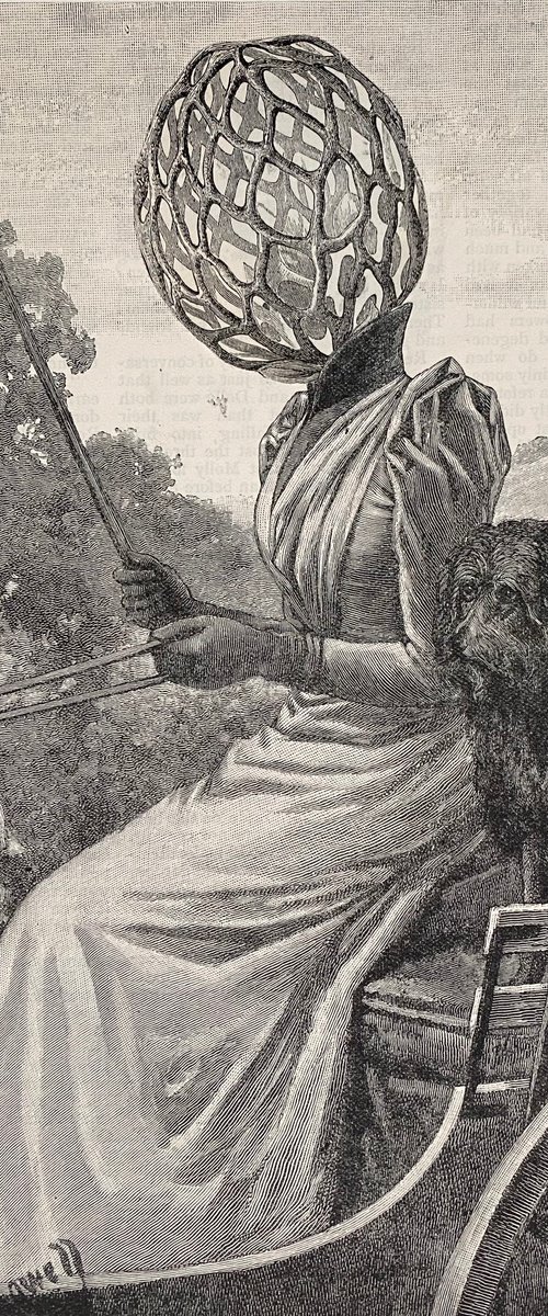 On the dog cart by Tudor Evans