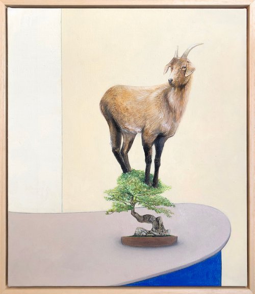 Bonsai Goat III by Joshua Daniels