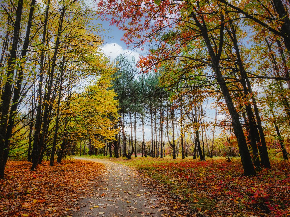 Autumn in the botanical garden. Kriviy Rig.Ukraine by Vlad Durniev