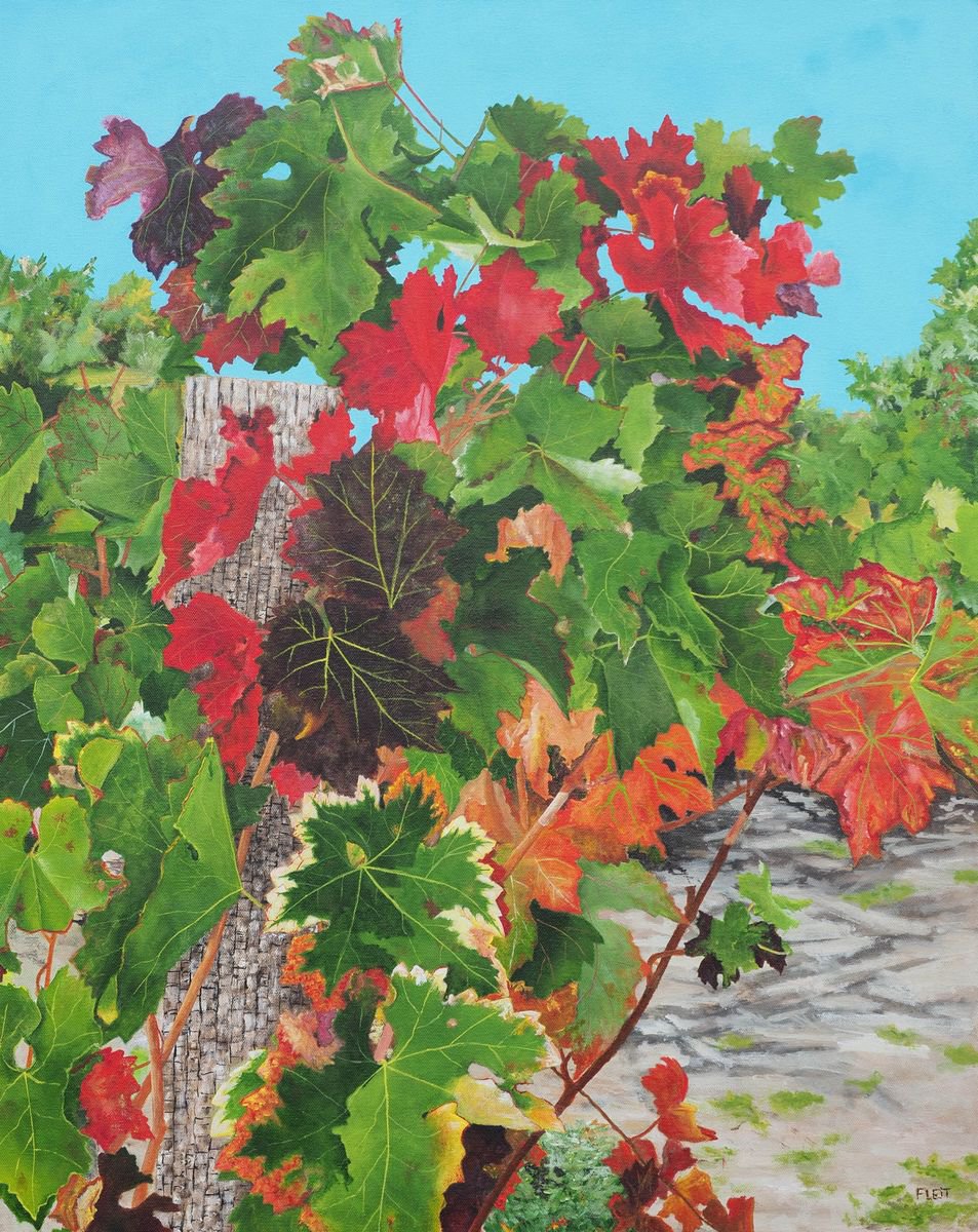 Loire Valley Vineyard 1 By Steven Fleit, 24 X 30, Artwork For Sale On Artfinder