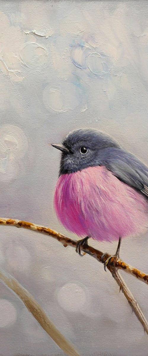 Pink robin by Eduard Zhaldak