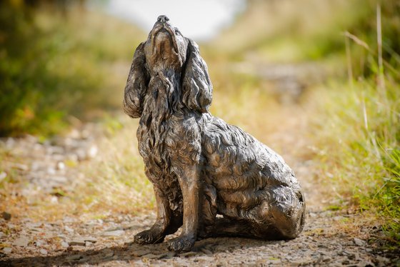 Sitting Working Spaniel 2 BR