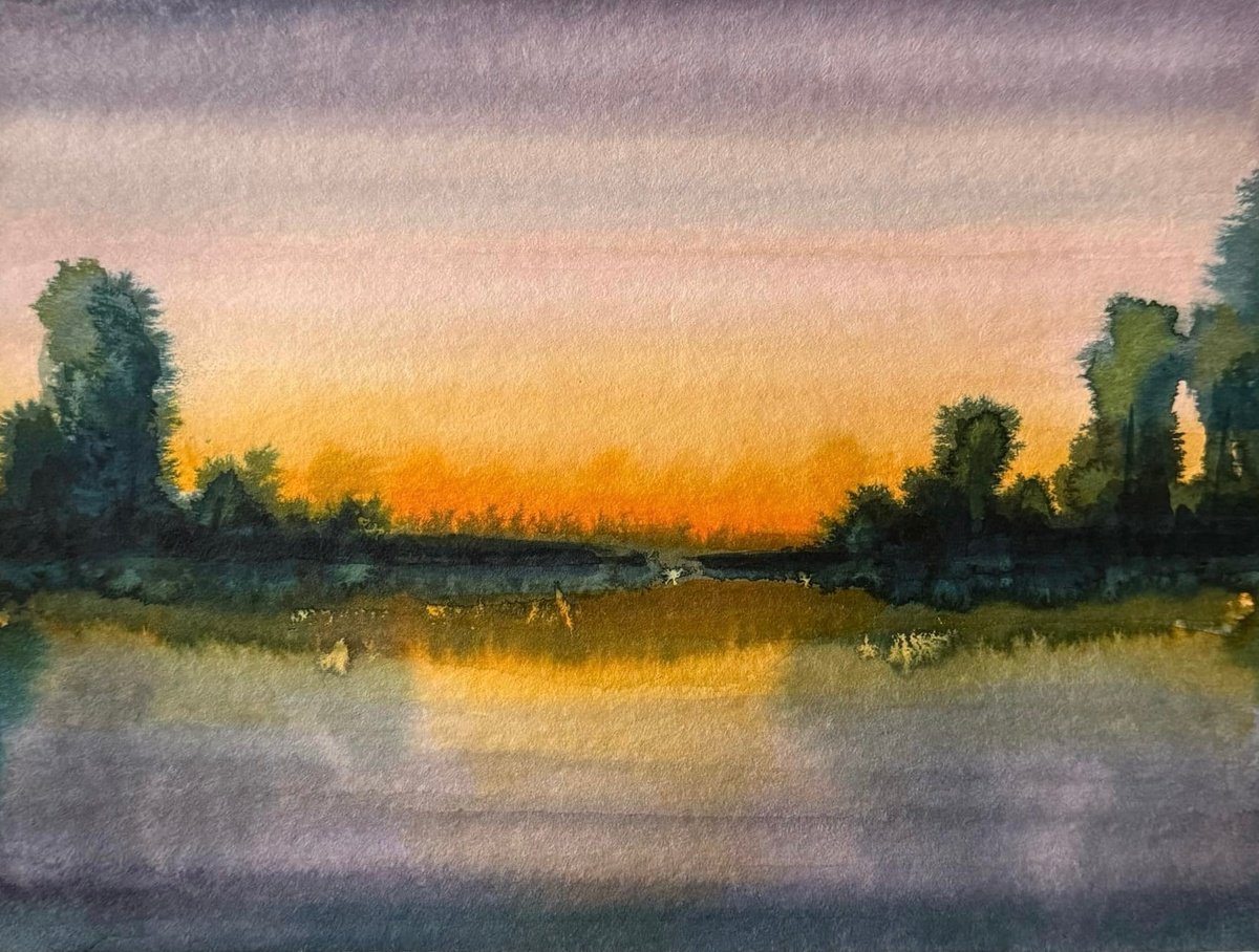 Impressionistic Landscape Ink Drawing By Daiva Karaliute, 16 X 13, Swamp Sunset, Original Artwork