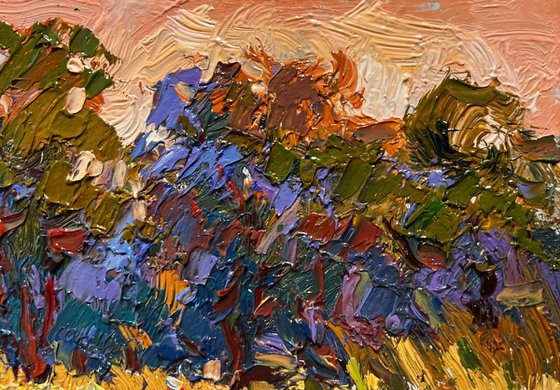 On a boat among the reeds