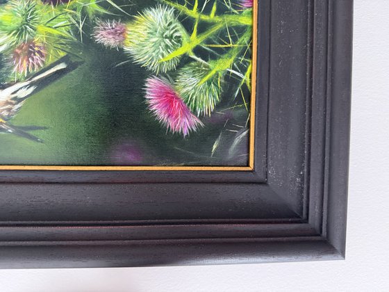 Birds and Thistle