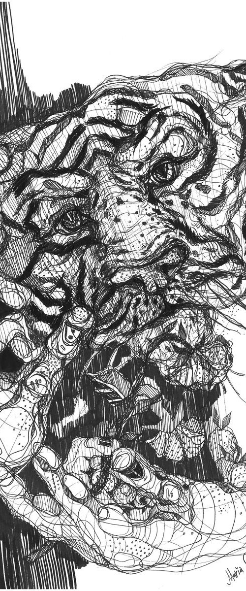 Tiger Drawing by Maria Susarenko