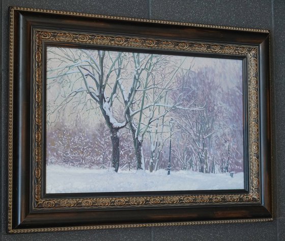 Maple Alley in January