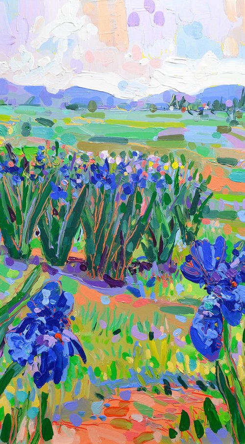 Irises Landscape by Joseph Villanueva