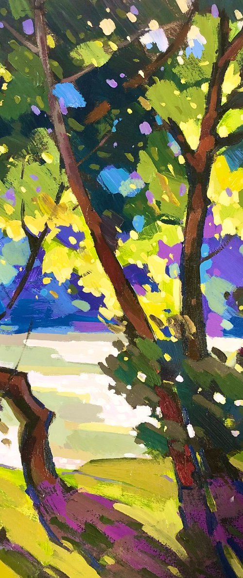 Sunny day by Sergey  Kachin