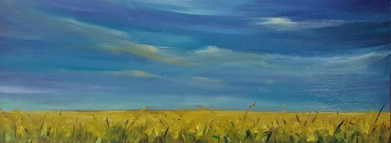 Yellow haze horizon  - summer fields and blue skies