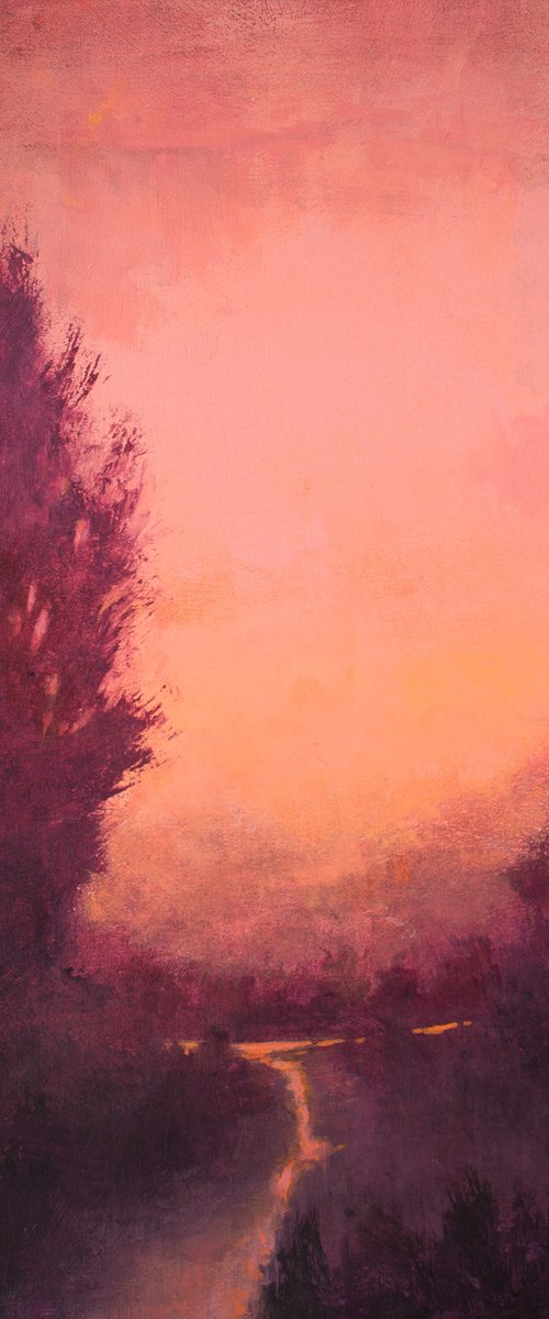 Glowing Sunset 231205 by Don Bishop