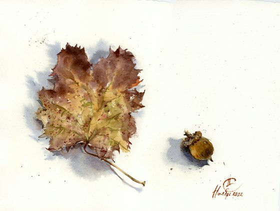 Still life with grape leaf and acorn. Details of nature