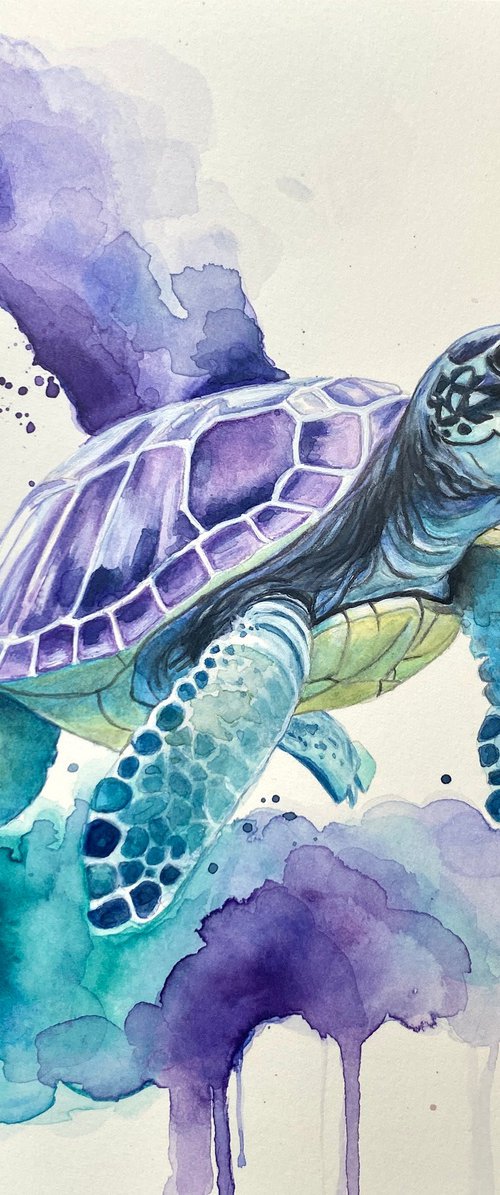 Colourful TurtlePainting by Sandy Broenimann