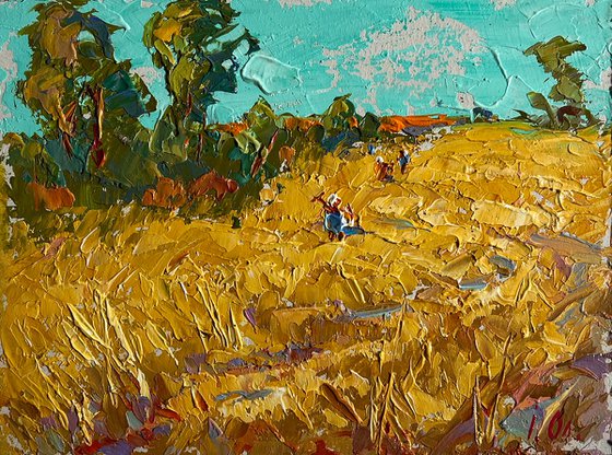 Sunny day in the field