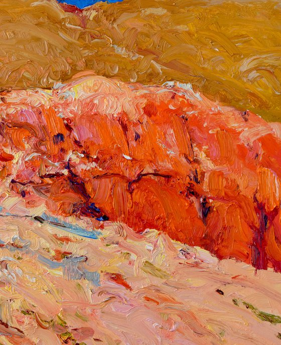 Desert Reverie