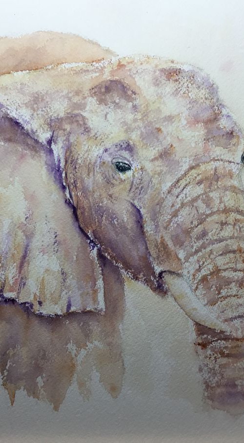 Portrait of an elephant by Sabrina’s Art