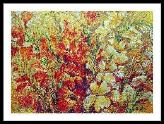 Gladiolus 2