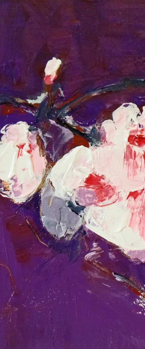 Magnolias by Irene Wilkes