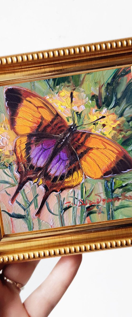Marpesia butterfly by Nataly Derevyanko