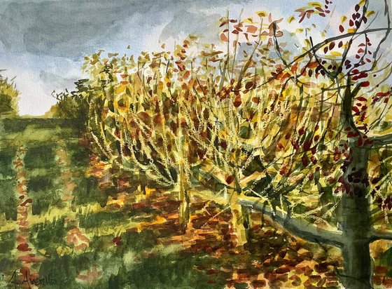 Autumn in the Orchard