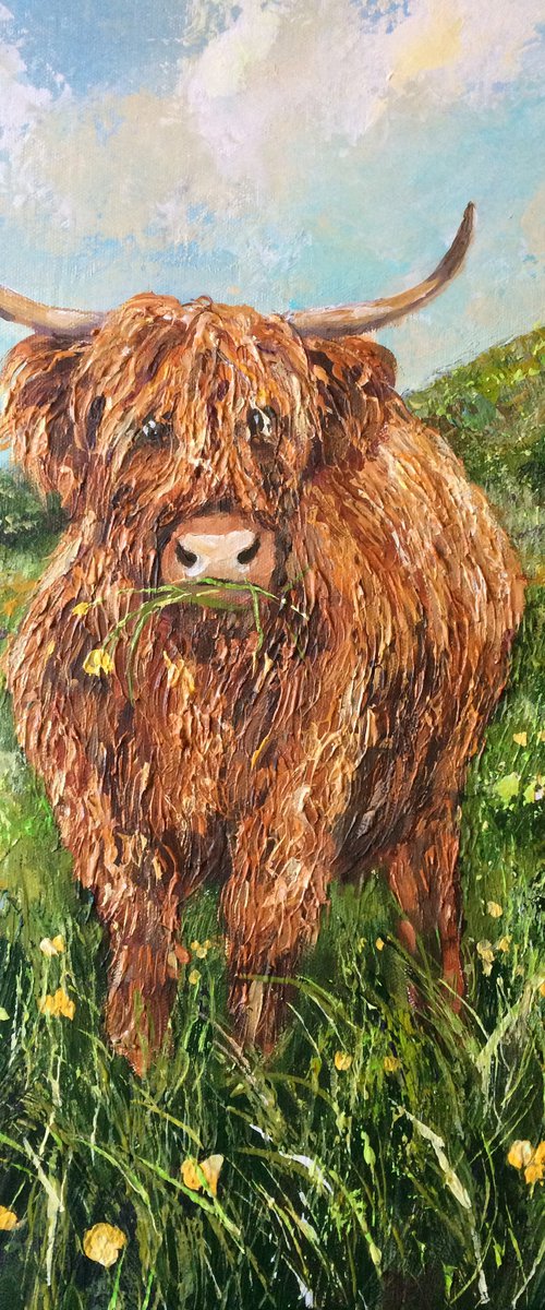 Daisy in the Buttercups by Colette Baumback