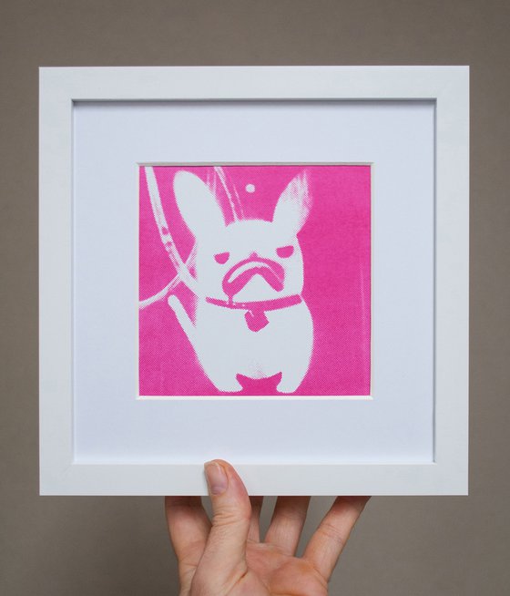 'Snowy' French Bulldog (small framed artists proof)