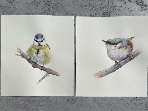 Nuthatch & Blue Tit (Set of 2)