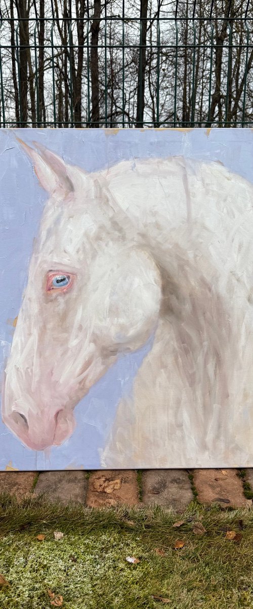 Blue eyes by Liubou Sas