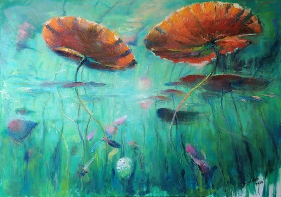 Underwater impressions