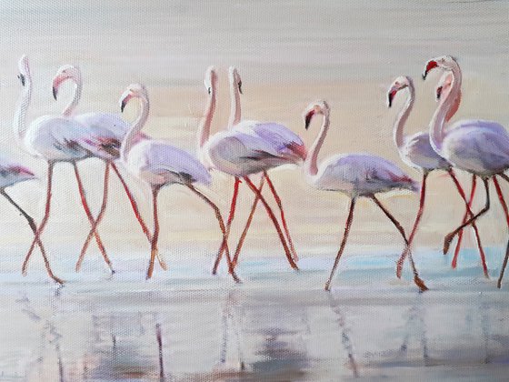 A MORNING BEACH PATROL / FLAMINGOS