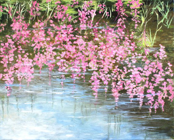 Reflections of Rosebay Willowherb