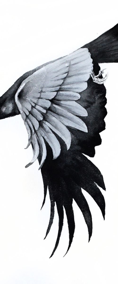 Raven, wildlife, bird, watercolour painting by Karolina Kijak