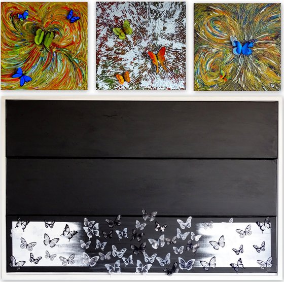 Collage of butterfly wall art