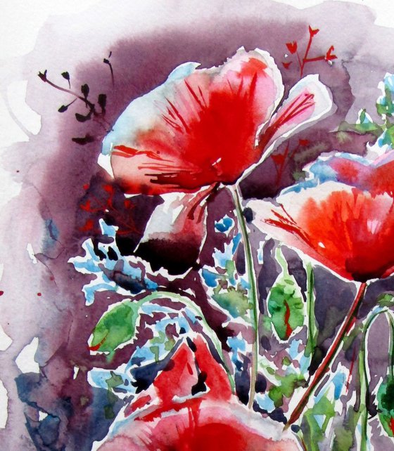 Red poppies collection