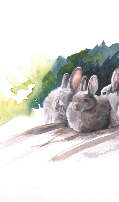 Rabbits at Rest by Sarah Stowe