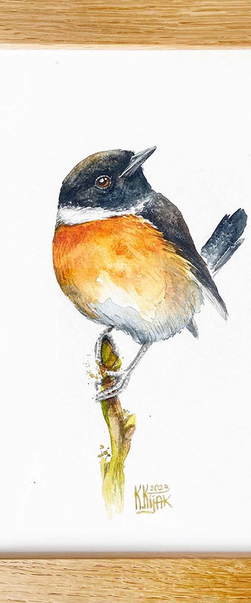 stonechat bird by Karolina Kijak