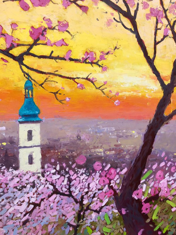 Spring in Prague. Sunset