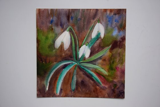 Snowdrops watercolor painting, flower wall art, floral gift for her