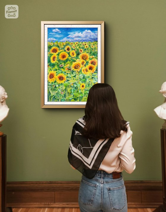 Yellow field of sunflowers