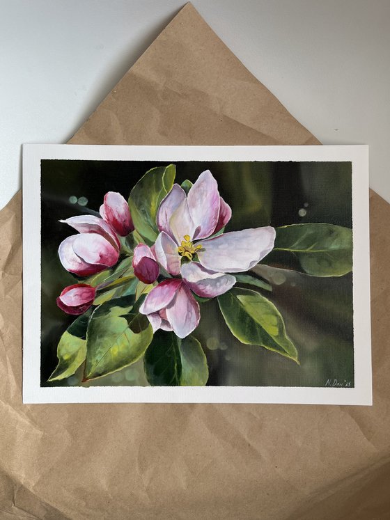 Apple blossom