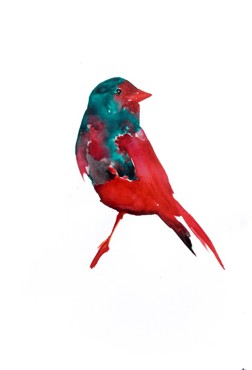 Bird by Nadia Moniatis