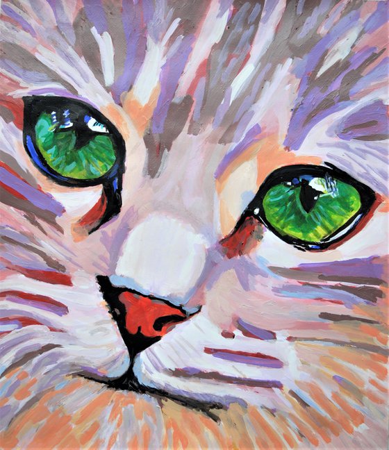 Kitten / 66 x 57 cm