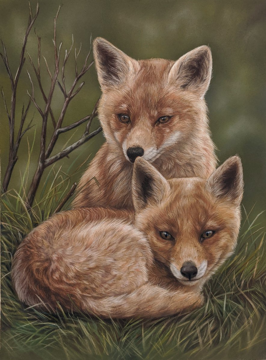 Two young foxes Pastel drawing by Tatjana Bril | Artfinder