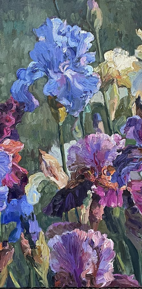 In the iris garden by Nadezda Stupina