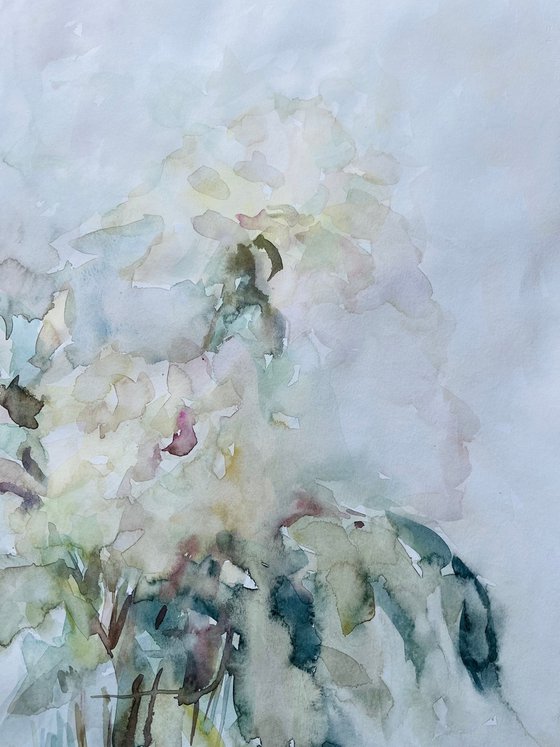 Peonies 50x65 cm 2025